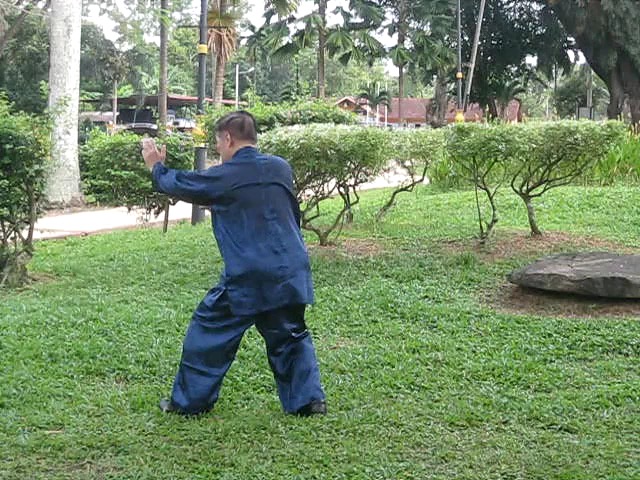 Wu Yu Xiang Style Taijiquan